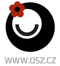 Primary Raster logo